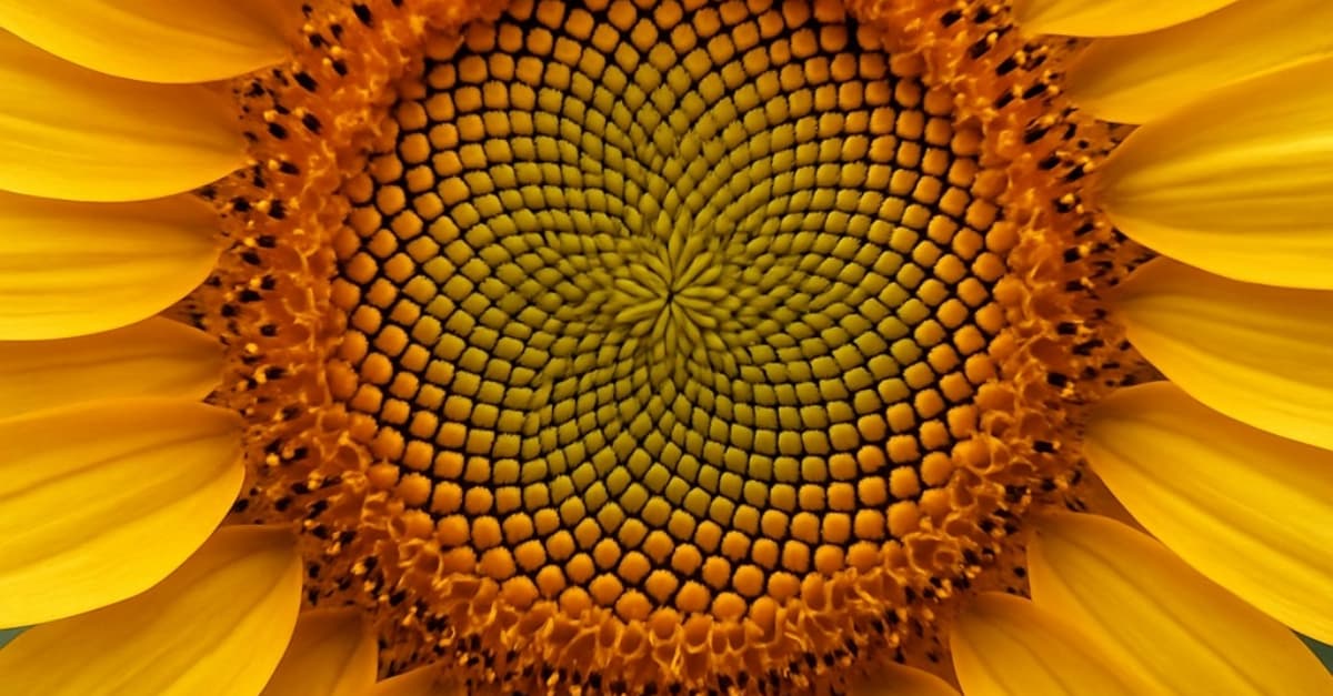 Why Spirals?
